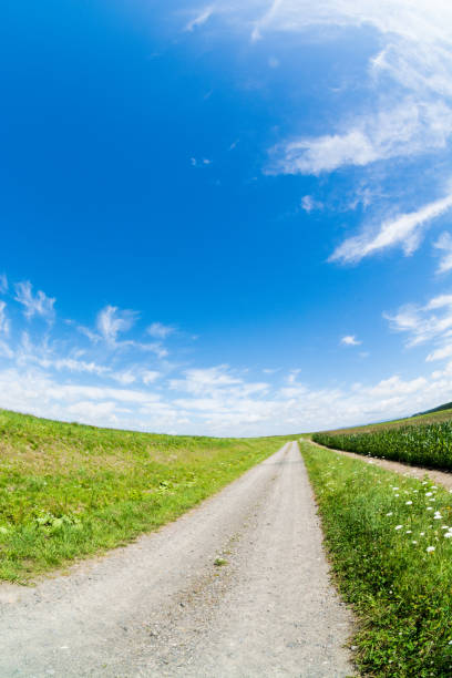 istock Gravel road and summer blue sky 697234912
