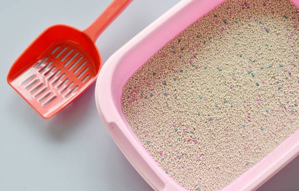 istock cat litter in box and plastic shovel on floor 697235738