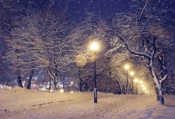 istock Night landscape in winter park. 697239808