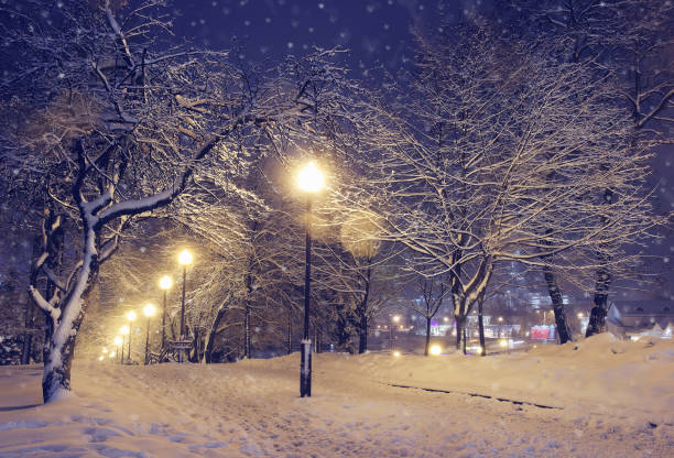 istock Night landscape in winter park. 697239822