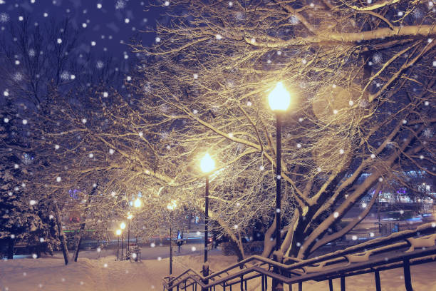 istock Night landscape in winter park. 697239840