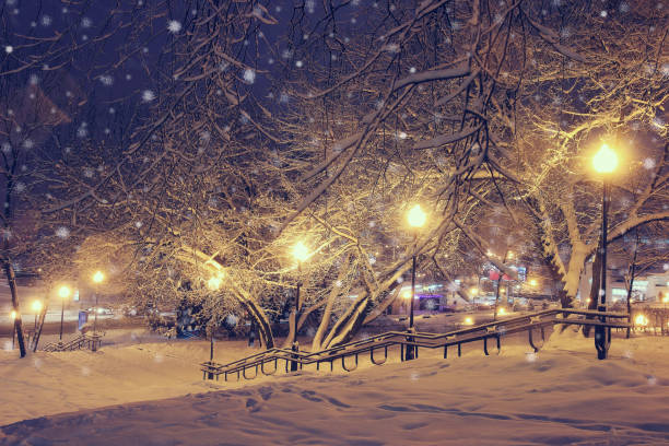 istock Night landscape in winter park. 697239844