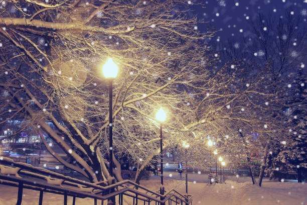 istock Night landscape in winter park. 697239856