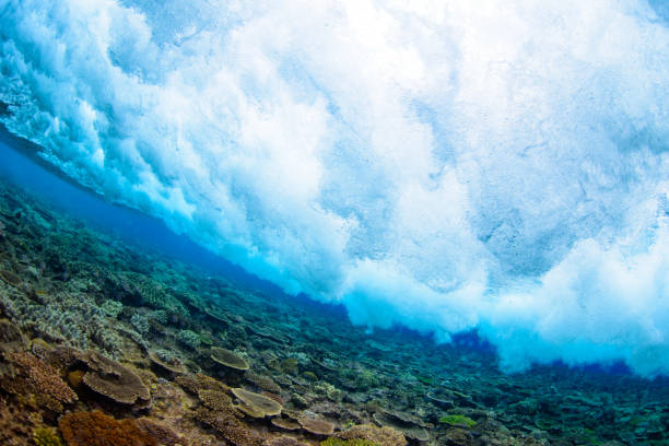 istock Coral and Waves in Okinawa Japan 697242126