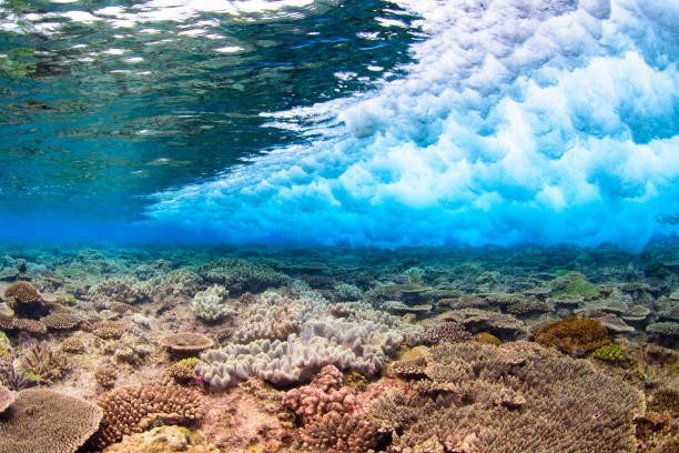 istock Coral and Waves in Okinawa Japan 697242210