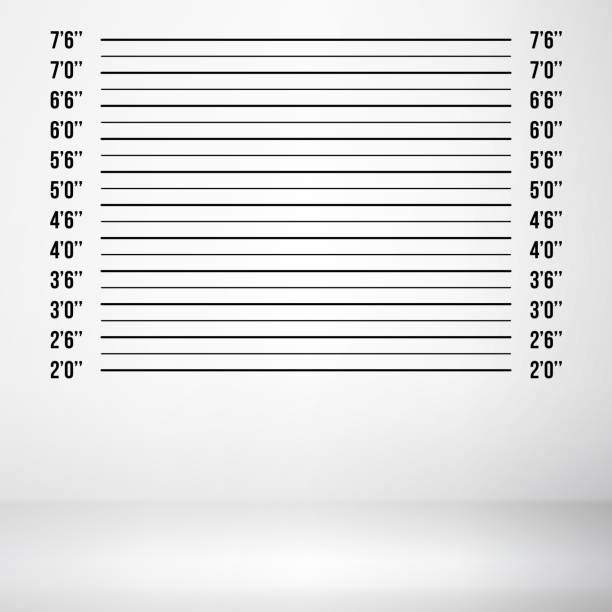 istock Police Mugshot Vector. Police Lineup Isolated On White Background Illustration 697249094