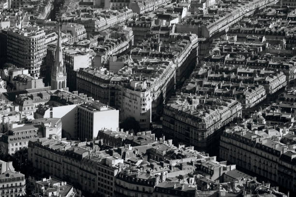 istock Aerial view at Paris architecture from the Eiffel tower. France 697249622