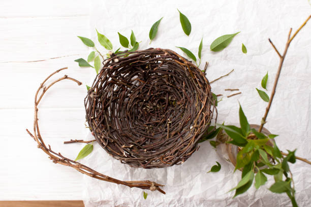 istock Crafts made of natural material on a white table 697252930