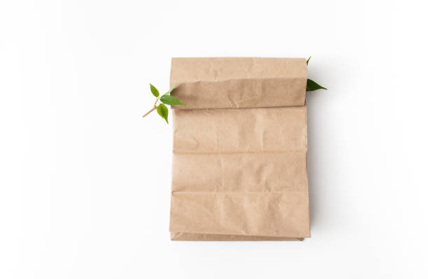 istock Paper bag with a twig with green leaves on a white 697253290