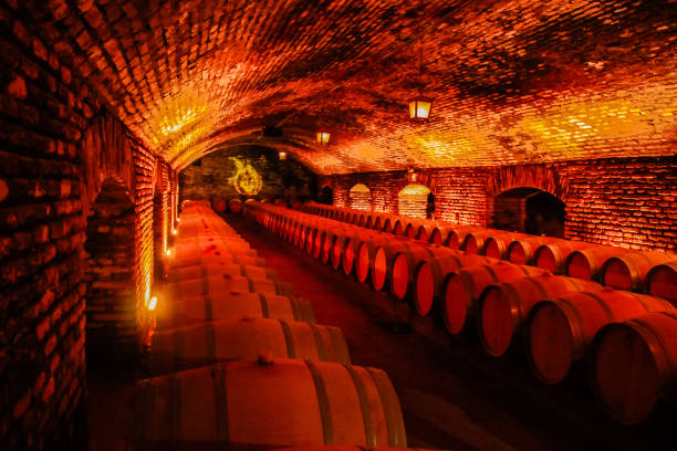 almacenamiento de vino de la casa de santiago de chile - vinos chilenos fotografías e imágenes de stock