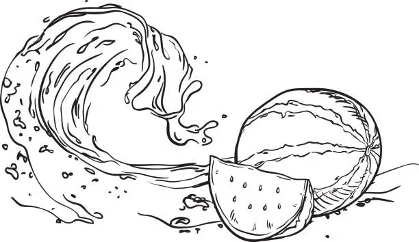 Vector illustration of Watermelon on wave juice. hand drawn sketch illustration