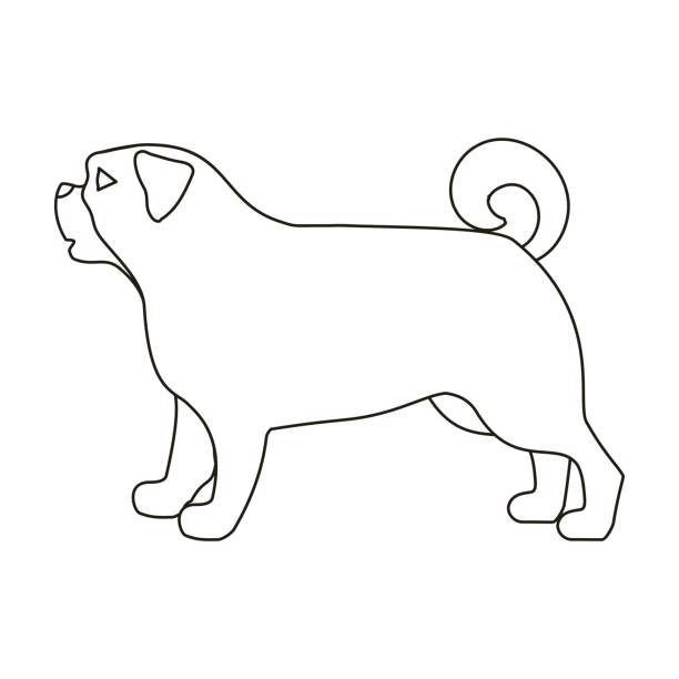 мопс значок в стиле контура изолированы на белом фоне. собака пород символ фондового вектора иллюстрации. - dog mixed breed dog puppy white background stock illustrations