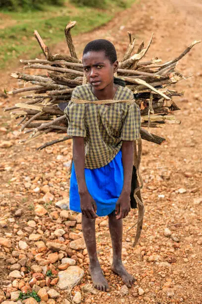 Young African girl carrying brushwood,  southern Kenya, East Africa