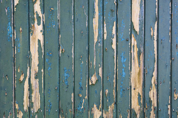 istock Green bladdered stable doors 697267886