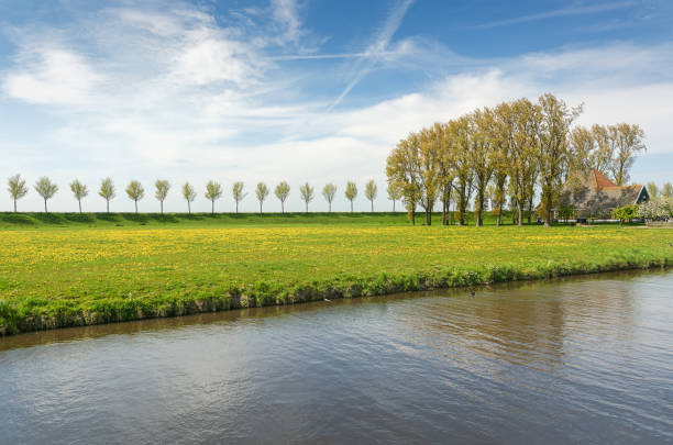 Dike with a row of trees and farmhouse in the Beemster Polder,  a cultural landscape located north of Amsterdam, dating from the early 17th century, and an exceptional example of reclaimed land in the Netherlands
