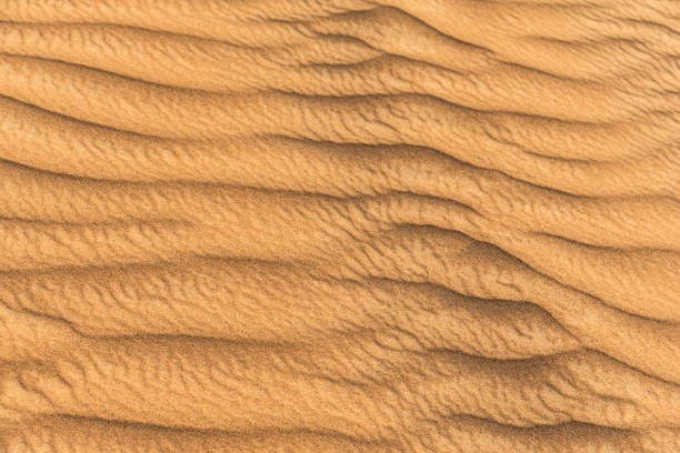 istock Dunes of Arabia 697271022