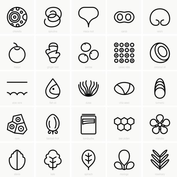 Super food icons Available in high-resolution and several sizes to fit the needs of your project. baobab flower stock illustrations