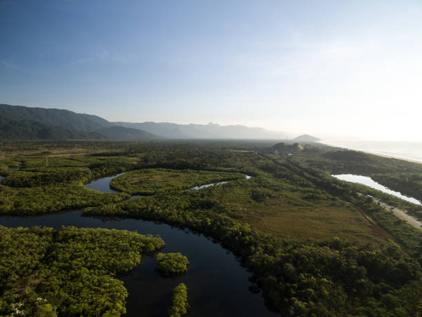 istock Aerial View of a Rainforest in Brazil 697292972