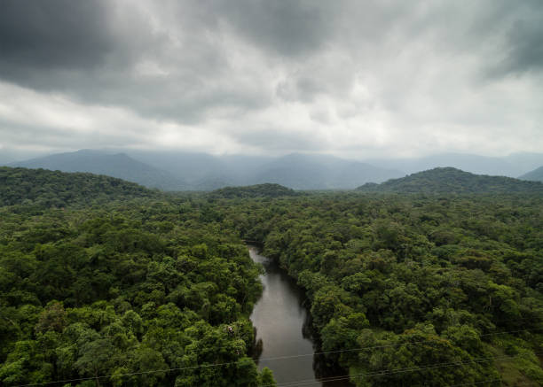istock Aerial View of a Rainforest in Brazil 697292980