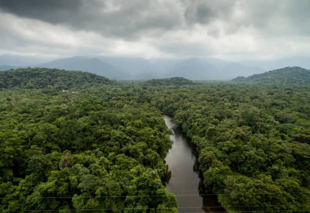 The best of Brazil