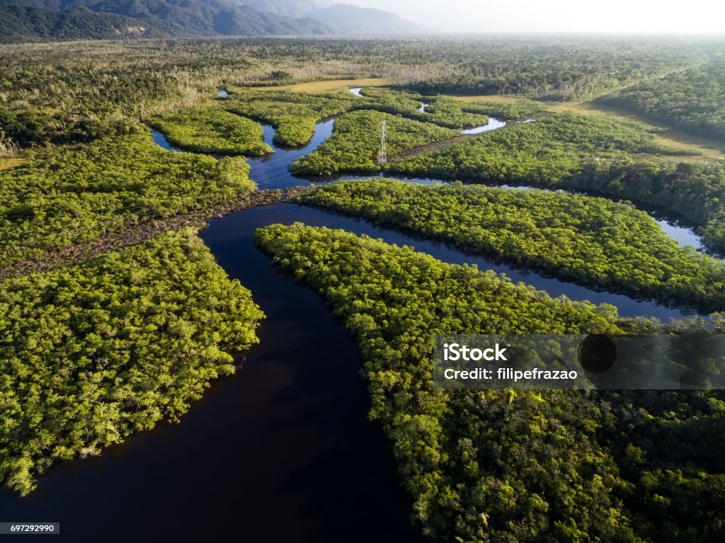 Aerial View of a Rainforest in Brazil The best of Brazil Amazon Region Stock Photo