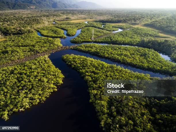 Aerial View Of A Rainforest In Brazil Stock Photo - Download Image Now - Amazon Region, Amazon River, Amazon Rainforest