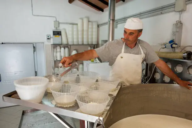 In the cheese factory, during the preparation of the ricotta cheese with fresh sheep milk