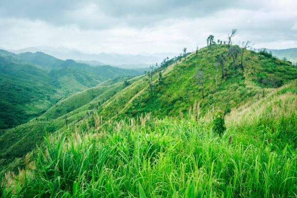 istock a scene of moutain 697295632