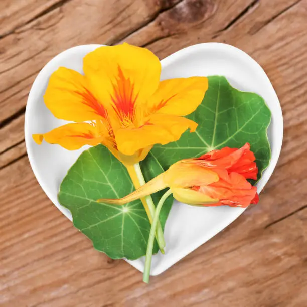 Homeopathy and cooking with medical plants, nasturtium.