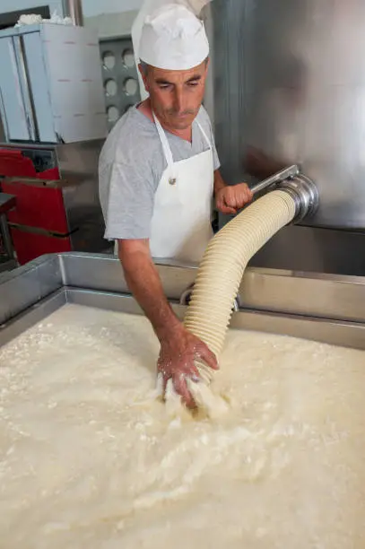 In the cheese factory, during the preparation of the ricotta cheese with fresh sheep milk