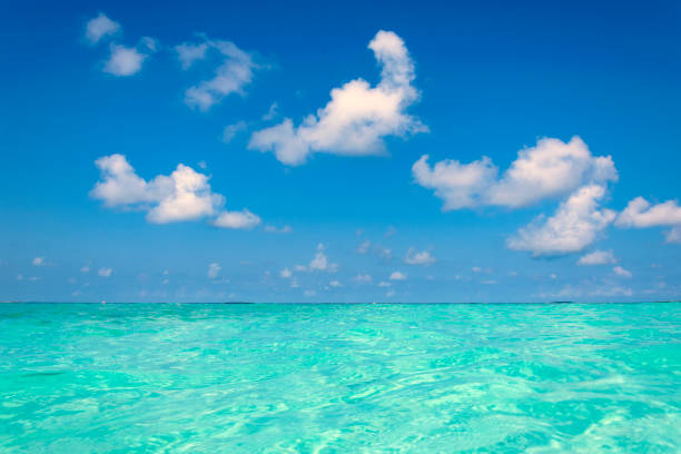 istock Ocean and Sky on the Maldives 697296530