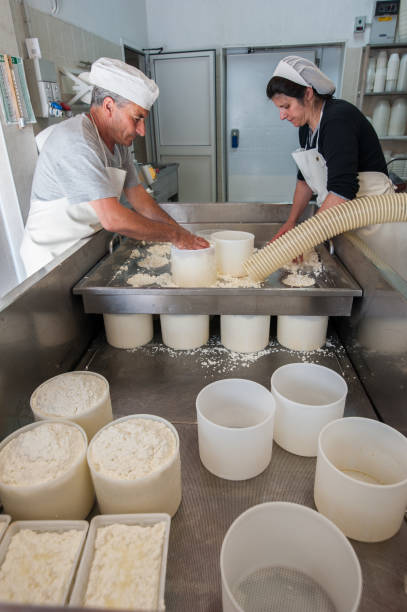 istock Shepherds prepare ricotta cheese with fresh sheep's milk 697299600