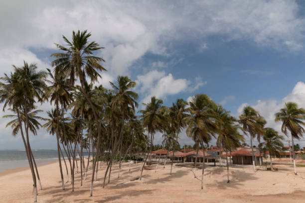 istock Zumbi beach, RN, Brazil 697302372