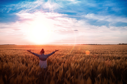 sunrise or sunset summer landscape girl with raised hands in the background of the colorful sky and Golden fields