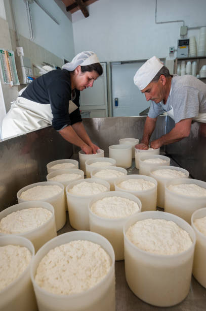 istock Shepherds prepare ricotta cheese with fresh sheep's milk 697308420