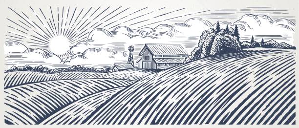 Rural landscape with farm Rural landscape with a farm in engraving style. Hand drawn and converted to vector Illustration rural scene illustrations stock illustrations