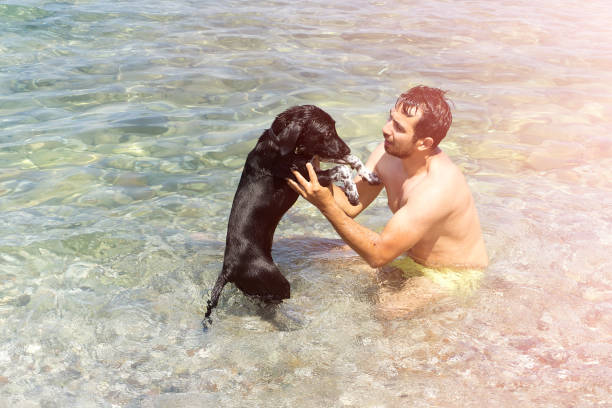 istock Man playing with his dog on the beach 697315576