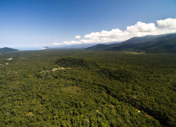 istock Aerial View of a Rainforest in Brazil 697317024