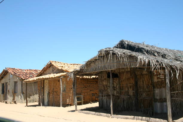 istock Grass fishermen's huts in Canoas, Bahia 697325754