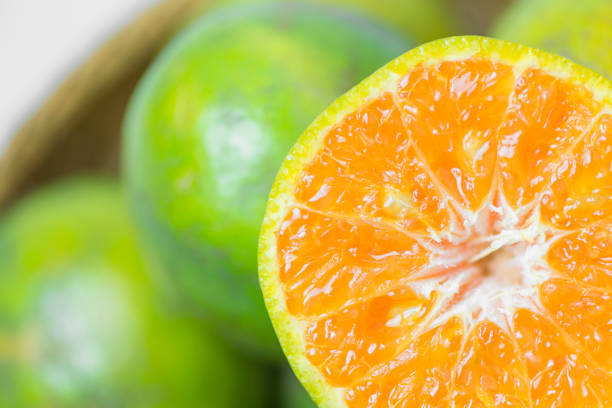 the ripe green orange fruit with leaves isolated on white background.