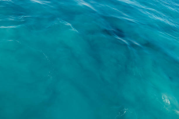 istock Water background with peaceful ripples 697328380