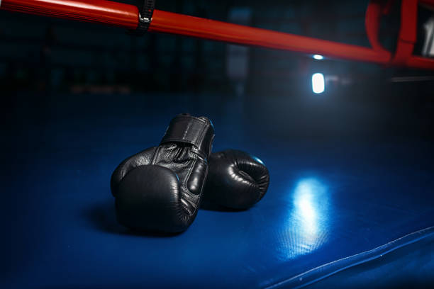 istock Black gloves on the ring, boxing concept, nobody 697329046