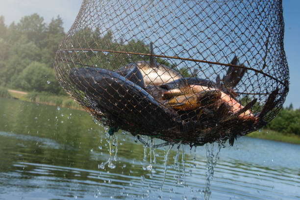 istock fishing on the lake. 697329276