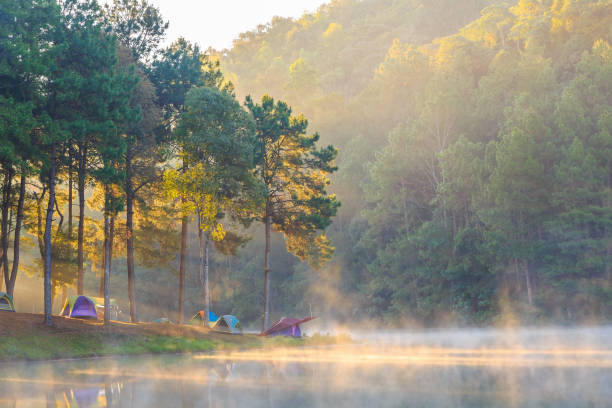 istock Dome tents in the mist at sunrise 697347906