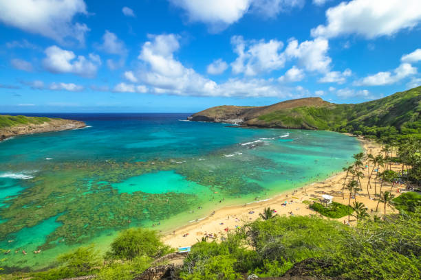 veduta aerea della baia di hanauma - hanauma bay hawaii islands oahu bay foto e immagini stock