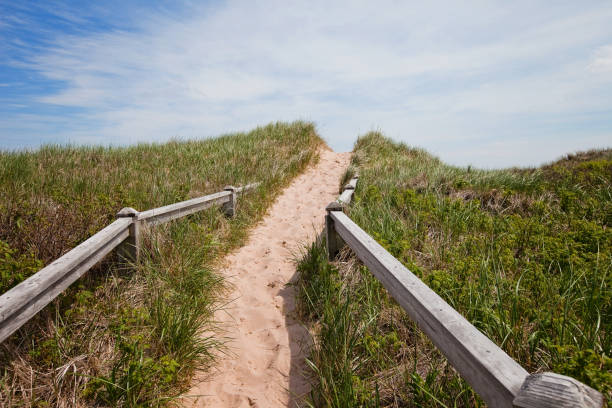 istock Prince Edward Island Sand Dune 697351912