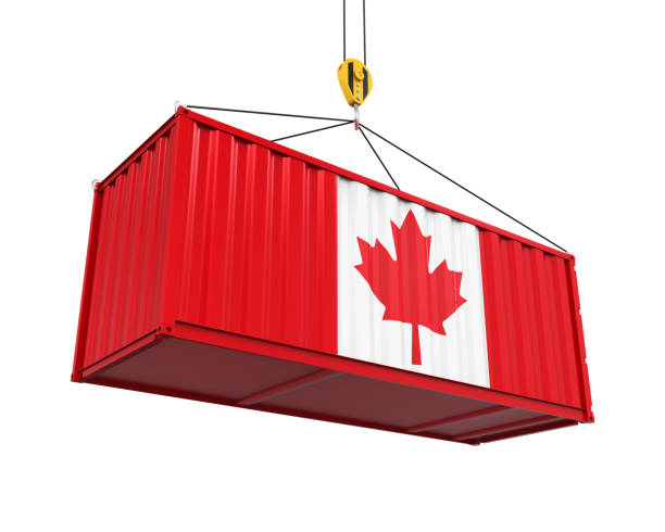 istock Container with Canadian Flag and Crane Hook 697354832