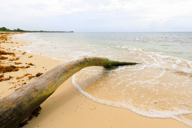istock Caribbean Island paradise. 697355082