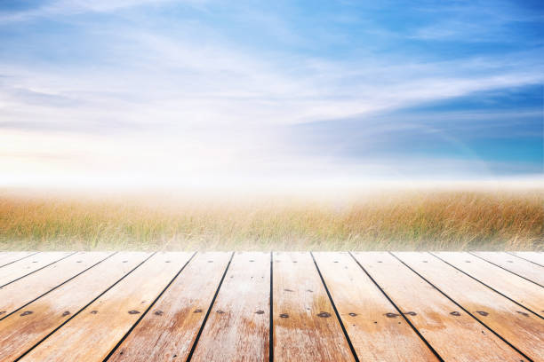 istock Wood table top with grass natural and blue skies background. 697366488