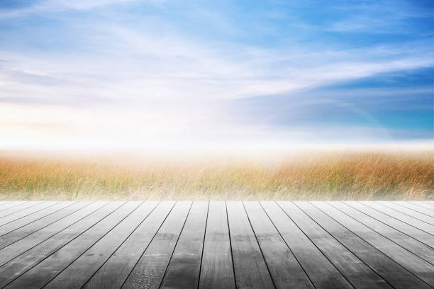 istock Wood table top with grass natural and blue skies background. 697366532